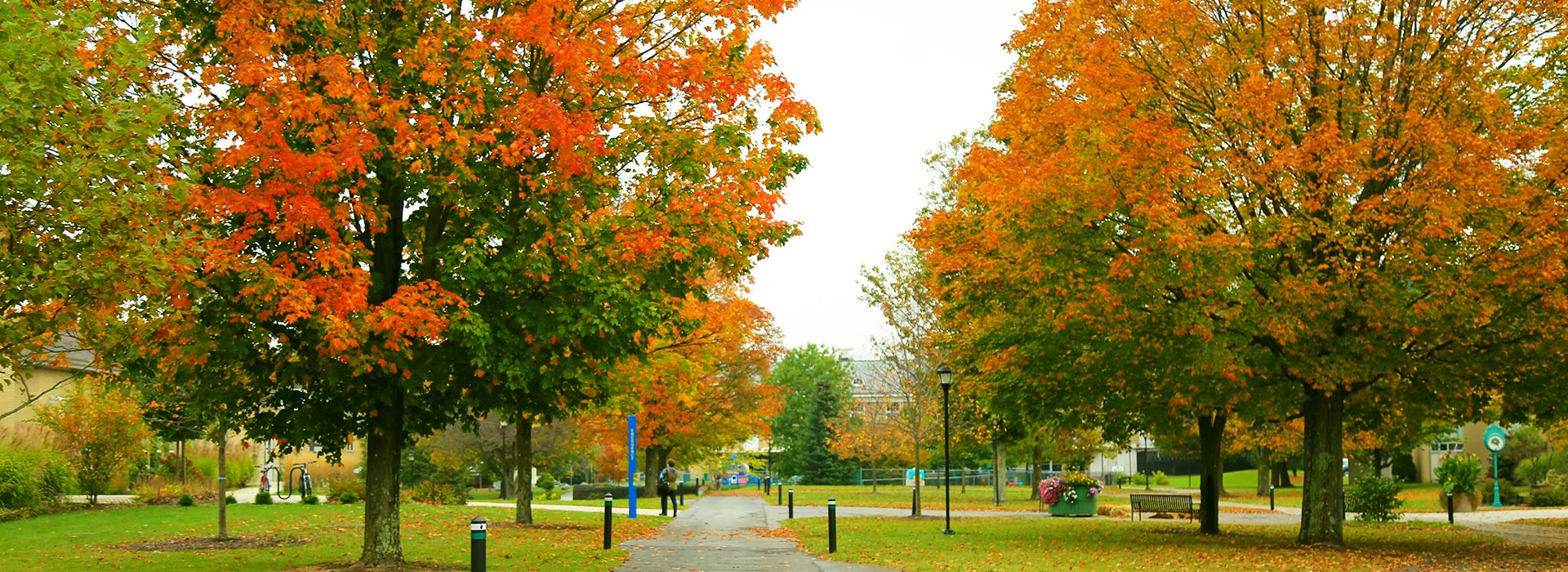 Fall view of campus