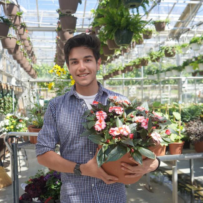 Horticulture student Gareth March is leading the charge with this year's sale